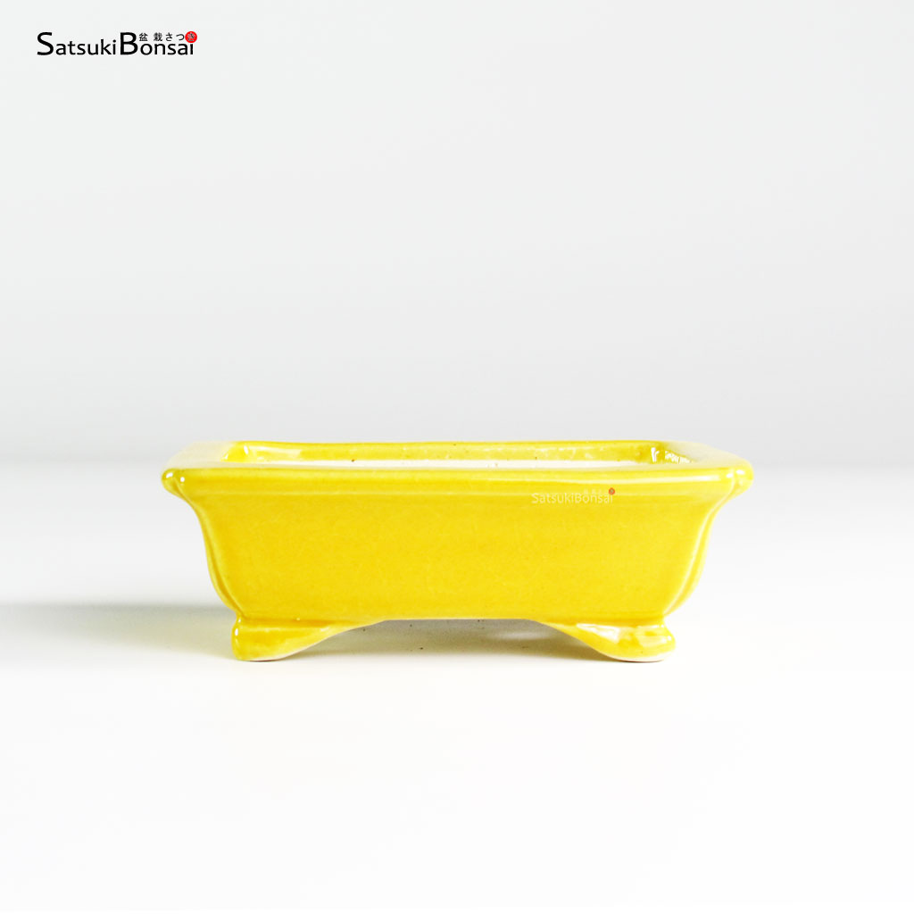 T25182_1-Koyo T25182 10.5x8.5x3.5 - Koyo - immagine 1