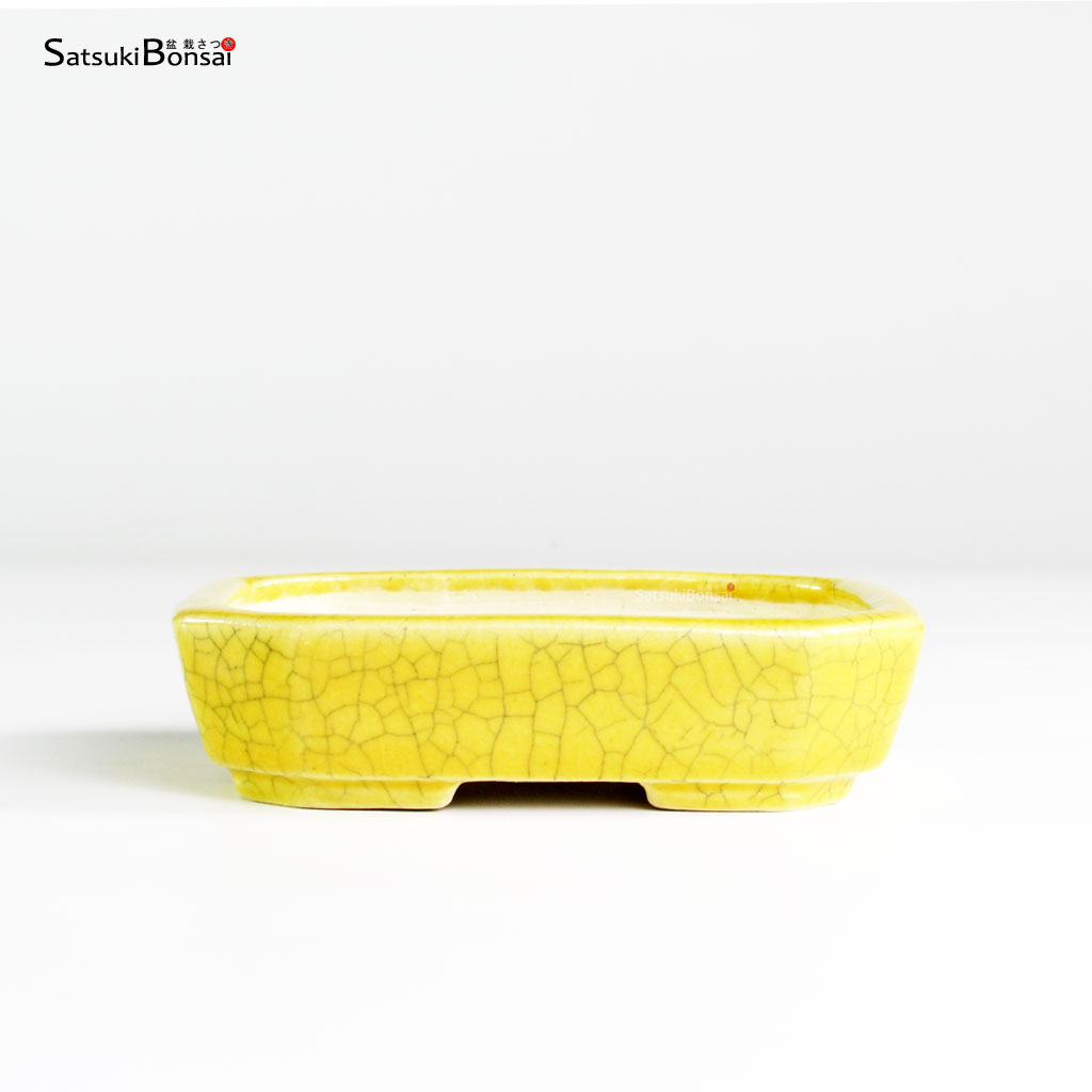 T25183_1-Koyo T25183 11.4x9.2x3.0 - Koyo - immagine 1