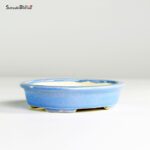 T25184 12.5x10.0x3.0 - Koyo - immagine 2