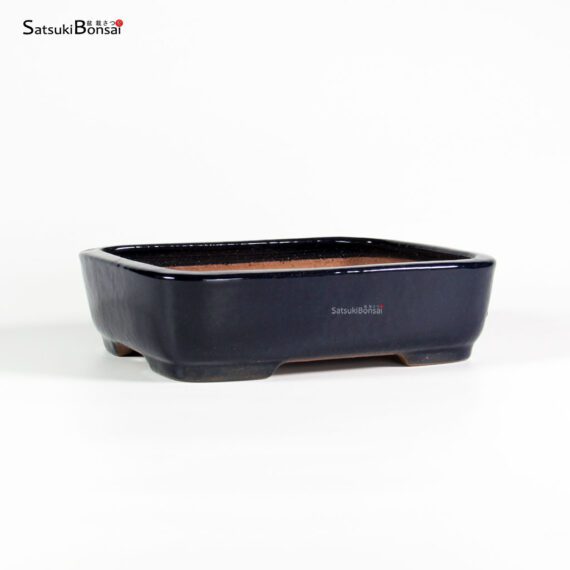 T25106 19.0x15.5x5.0 - Yamafusa - immagine 2