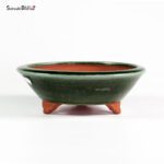 T25115 18.3x6.0 - Yozan - immagine 2