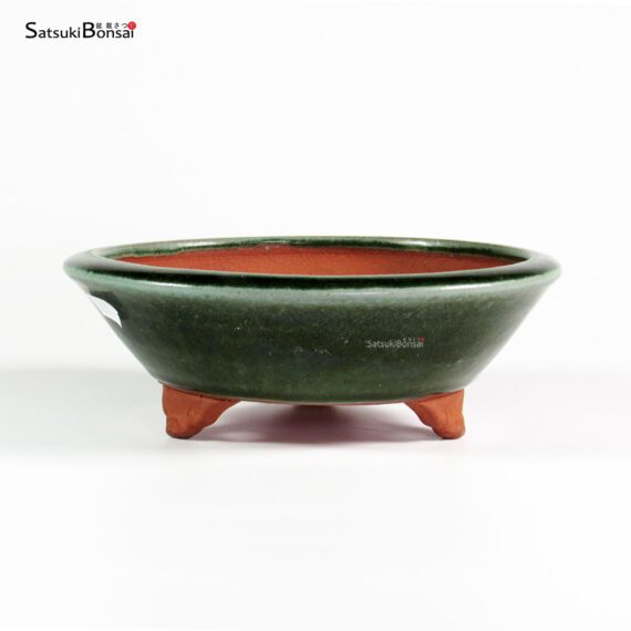 T25115 18.3x6.0 - Yozan - immagine 2