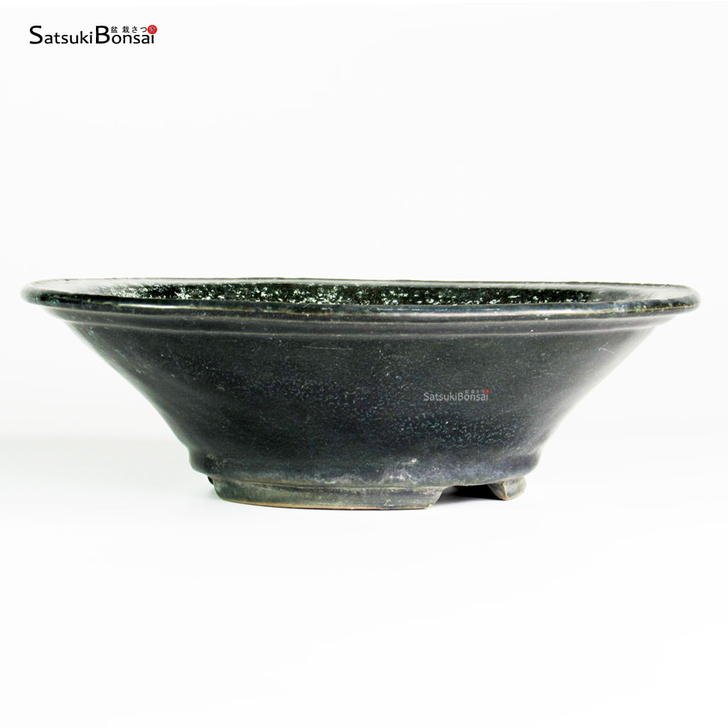 T25163_1-Shuho T25163 24.5x8.0 - Shuho - immagine 1