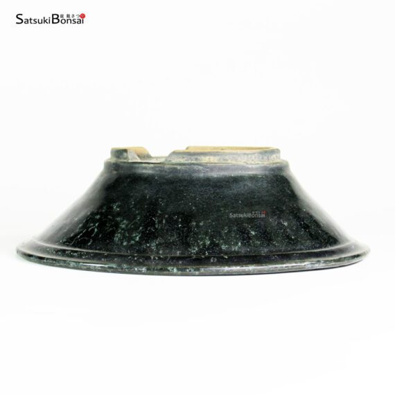 T25163 24.5x8.0 - Shuho - immagine 2
