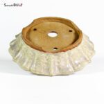 T2521 19.5x4.7 - Ryugaku - immagine 3