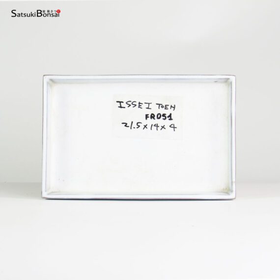 T2539 21.5x14.0x4.0 - Suiban - Issei Toen - immagine 3