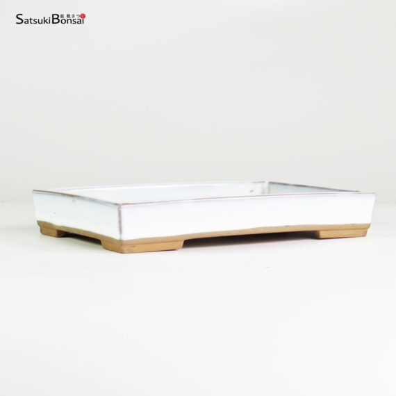 T2539 21.5x14.0x4.0 - Suiban - Issei Toen - immagine 2
