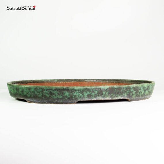 T2575 40.5x27.5x4.0 - Shuho - immagine 2