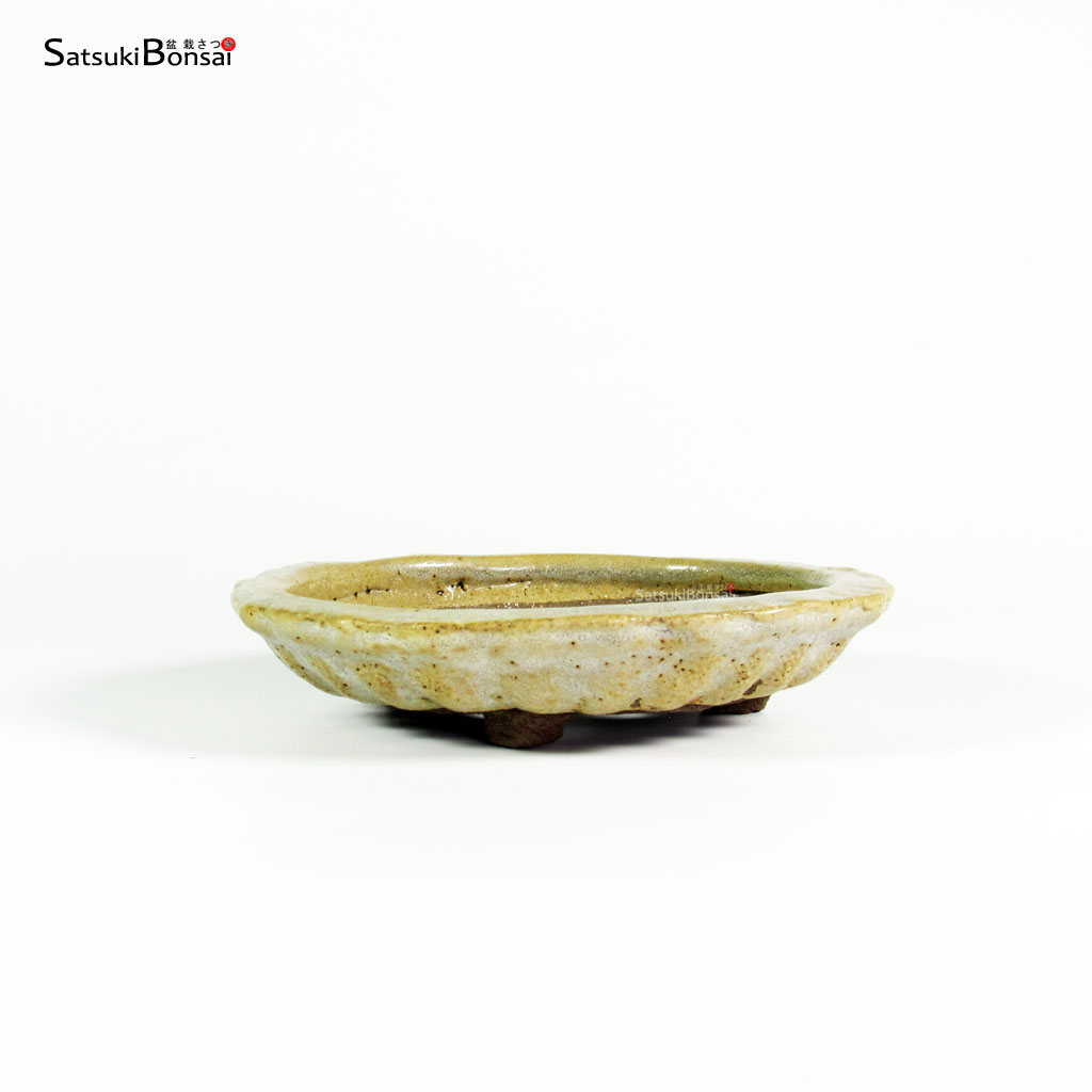 T2592_1-Ryugaku T2592 16.5x3.5 - Ryugaku - immagine 1