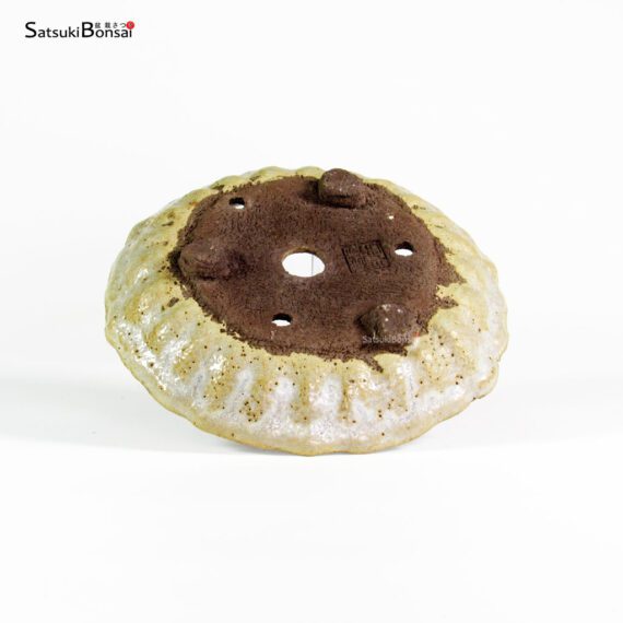 T2592 16.5x3.5 - Ryugaku - immagine 3