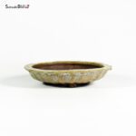 T2593 19.0x4.0 - Ryugaku