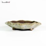 T2594 22.0x5.0 - Ryugaku