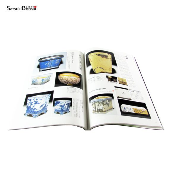 Enciclopedia dei vasi giapponesi Vol. 3 - immagine 2