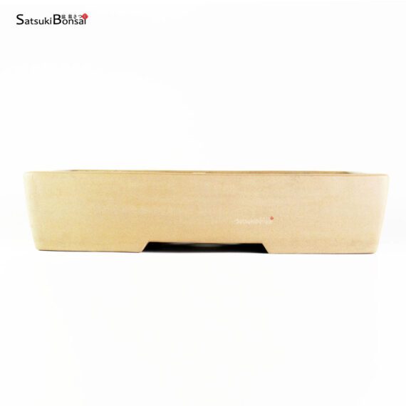 T2510 40.5x29.5x9.0 - Zenigo - immagine 2