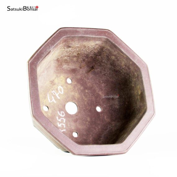 T25145 31.5x29.5x16.5 - Yamaaki Toshio - immagine 3