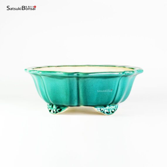 VY-327 28.0x10.0 cm - immagine 2