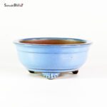 VY-343 15.5x6.5 cm