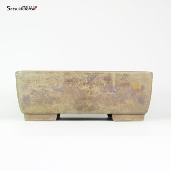 T2501 35.0x24.0x12.5 - Keizan - immagine 2