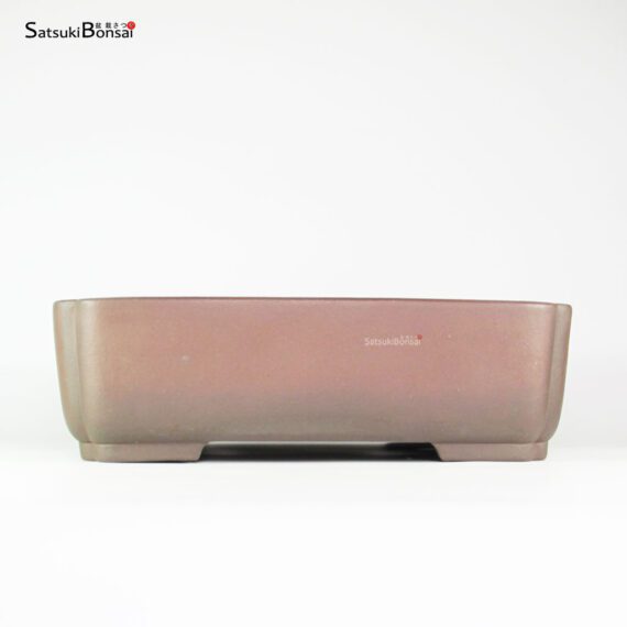 T25152 39.0x31.0x12.0 - Yamaaki - immagine 2