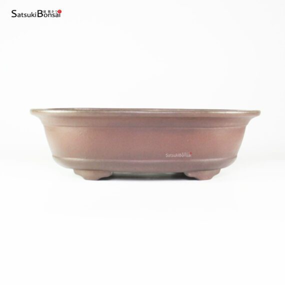 T25102 33.5x27.0x10.0 - Yamaaki - immagine 2