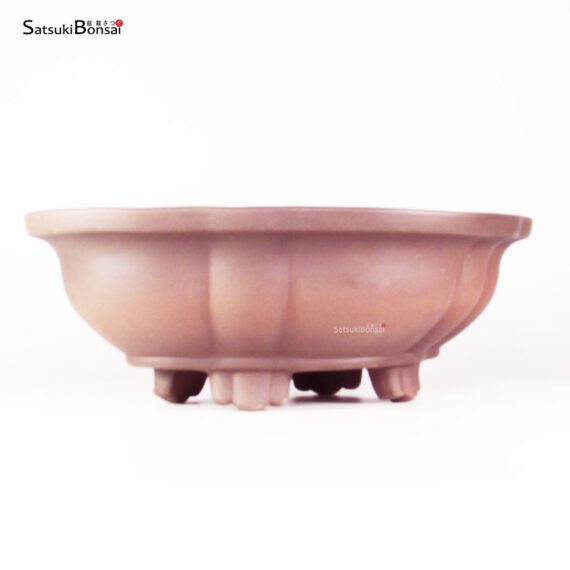 T25189 33.5x28.0x11.5 - Zenigo - immagine 2