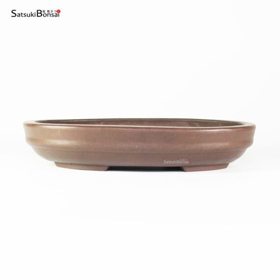T2562 29.5x22.5x5.5 - Maruhei - immagine 2