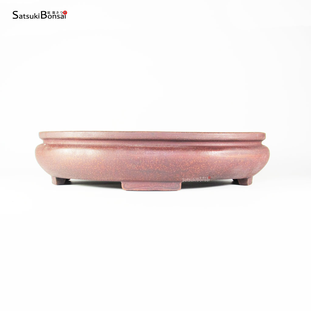 T2579_1-Zenigo T2579 42.5x32.0x9.5 - Zenigo - immagine 1