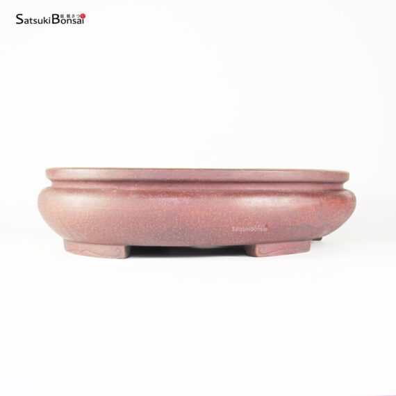 T2579 42.5x32.0x9.5 - Zenigo - immagine 2