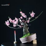 Prunus Mume - Albicocco da fiore VENDUTO