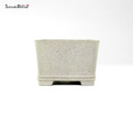 T26005 9.5x9.5x6.5 - Shibakatsu - immagine 2