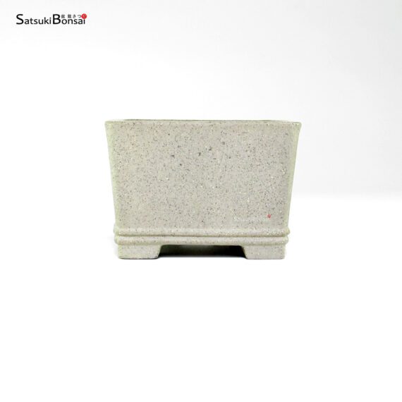 T26005 9.5x9.5x6.5 - Shibakatsu - immagine 2