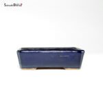 T26006 13.0x9.0x4.0 - Hattori - immagine 2