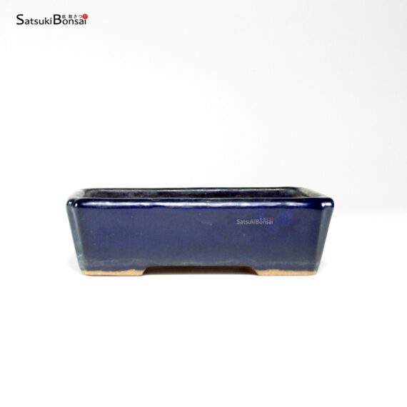 T26006 13.0x9.0x4.0 - Hattori - immagine 2