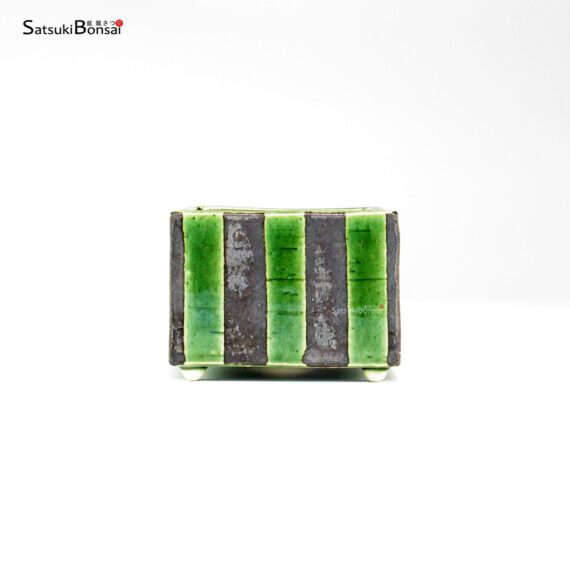 T26008 8.0x8.0x6.0 - Hisada - immagine 2