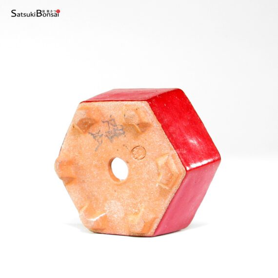 T26012 6.8x7.8x4.0 - Youzan - immagine 2
