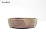 T26019 15.6x4.5 - Ryugaku - immagine 4