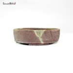 T26019 15.6x4.5 - Ryugaku - immagine 3