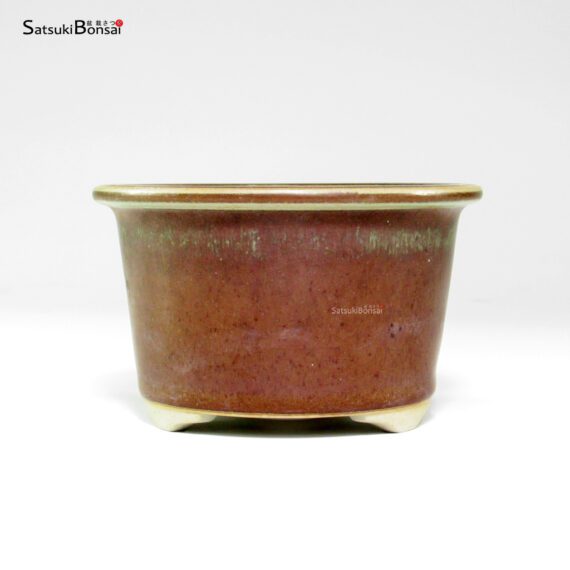 T26023 11.0x6.8 - Tosui - immagine 2