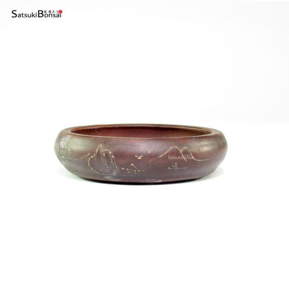 T26025 10.5x2.7 - Shoinken - immagine 3