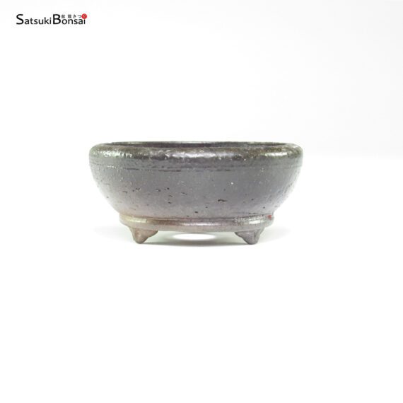 T26028 9.0x4.0 - Shoho - immagine 2