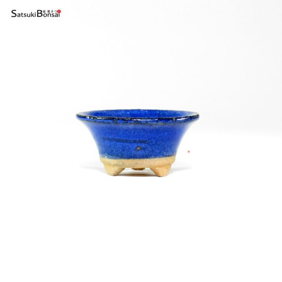 T26130 7.0x3.5 - Japan - immagine 2