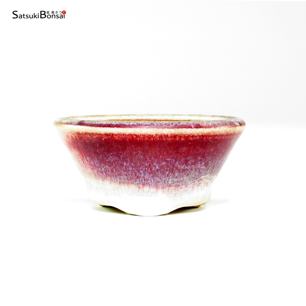 T26032_1-Bikou T26032 8.2x3.5 - Bikou - immagine 1