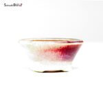 T26032 8.2x3.5 - Bikou - immagine 2