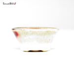 T26032 8.2x3.5 - Bikou - immagine 3