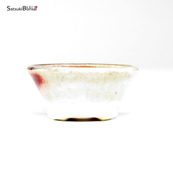 T26032 8.2x3.5 - Bikou - immagine 3