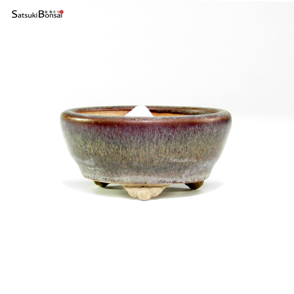 T26034_1-Shoho T26034 8.5x4.0 - Shoho - immagine 1