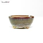 T26034 8.5x4.0 - Shoho - immagine 2