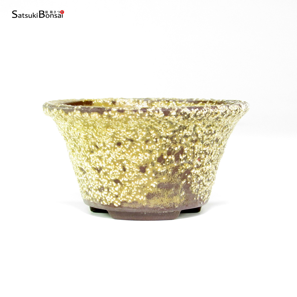 T26035_1-Japan T26035 8.8x4.7 - Japan - immagine 1