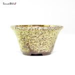 T26035 8.8x4.7 - Japan - immagine 2