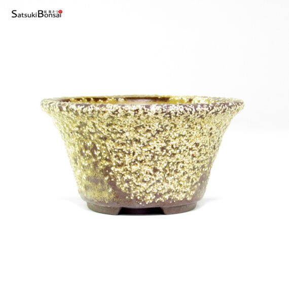 T26035 8.8x4.7 - Japan - immagine 2